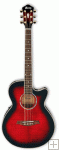 Ibanez AEG 24 Electro Acoustic Guitar Ibanez AEG 24 Electro Acoustic Guitar