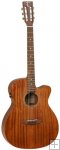 Tanglewood TW130 SM CE Electro Acoustic Tanglewood TW130 SM CE Electro Acoustic