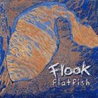 Flook-"Flatfish" - Click Image to Close