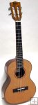 Kala KA-ATP-CTG Tenor Ukulele Kala KA-ATP-CTG Tenor Ukulele